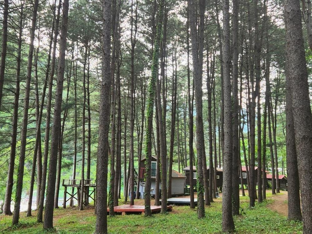 Hongcheon Gongjaksan Recreational Forest Pension מראה חיצוני תמונה