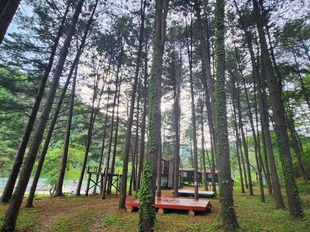 Hongcheon Gongjaksan Recreational Forest Pension מראה חיצוני תמונה