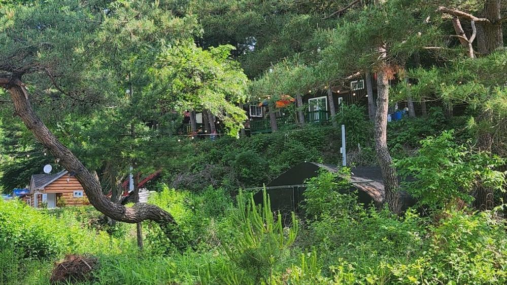 Hongcheon Gongjaksan Recreational Forest Pension מראה חיצוני תמונה